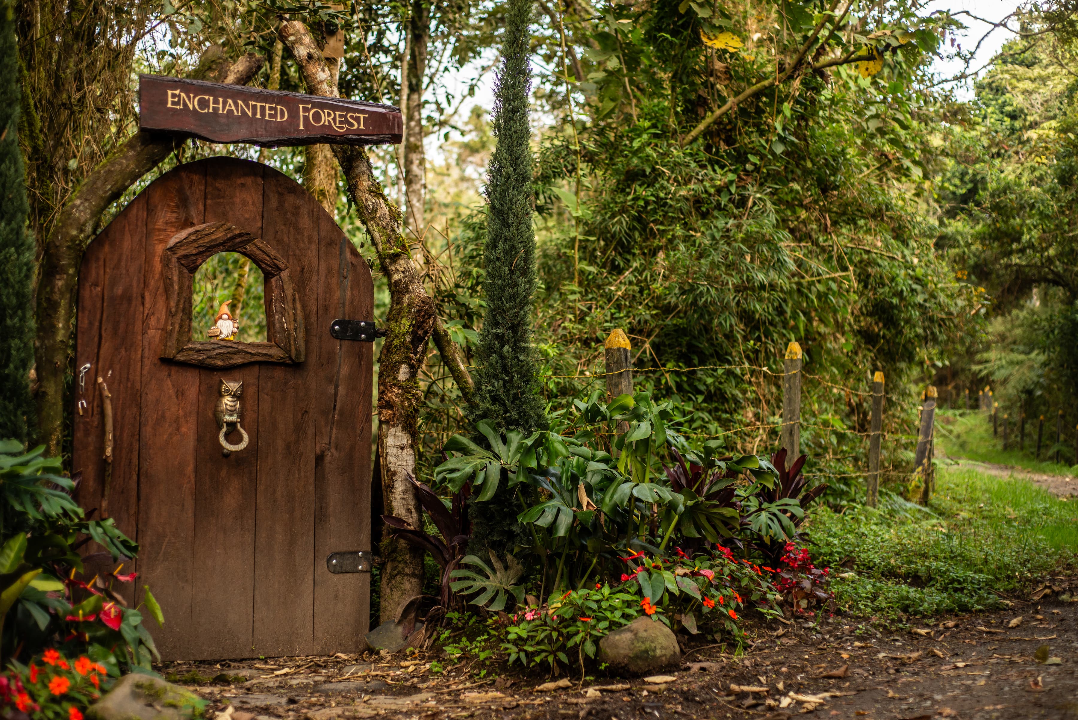Enchanted Forest door with gnome